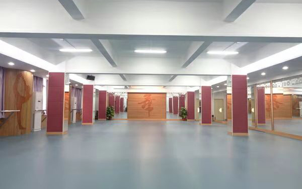 舞蹈專(zhuān)用地板